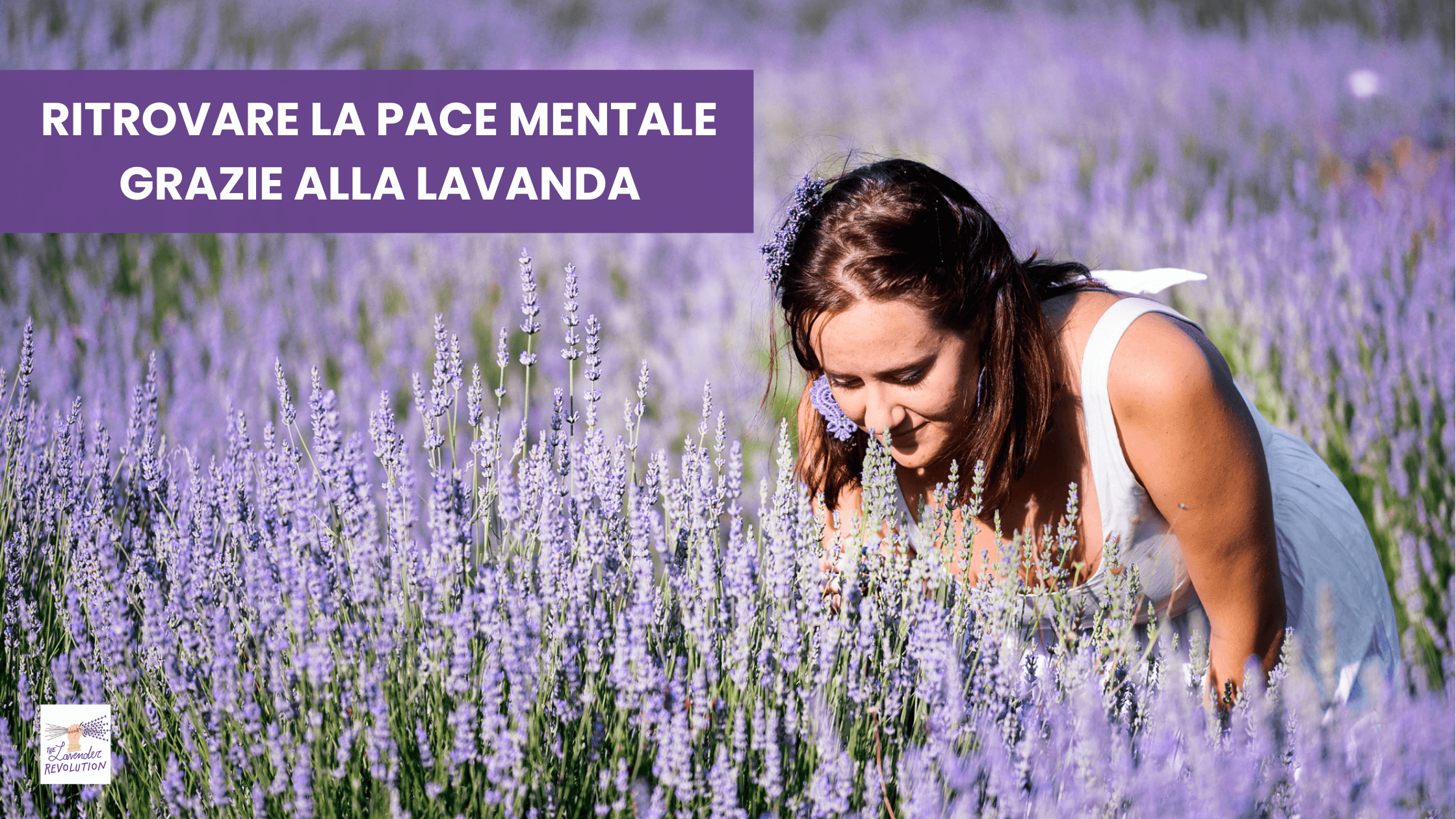 Ritrovare la pace mentale grazie all'olio essenziale di lavanda bio The Lavender Revolution