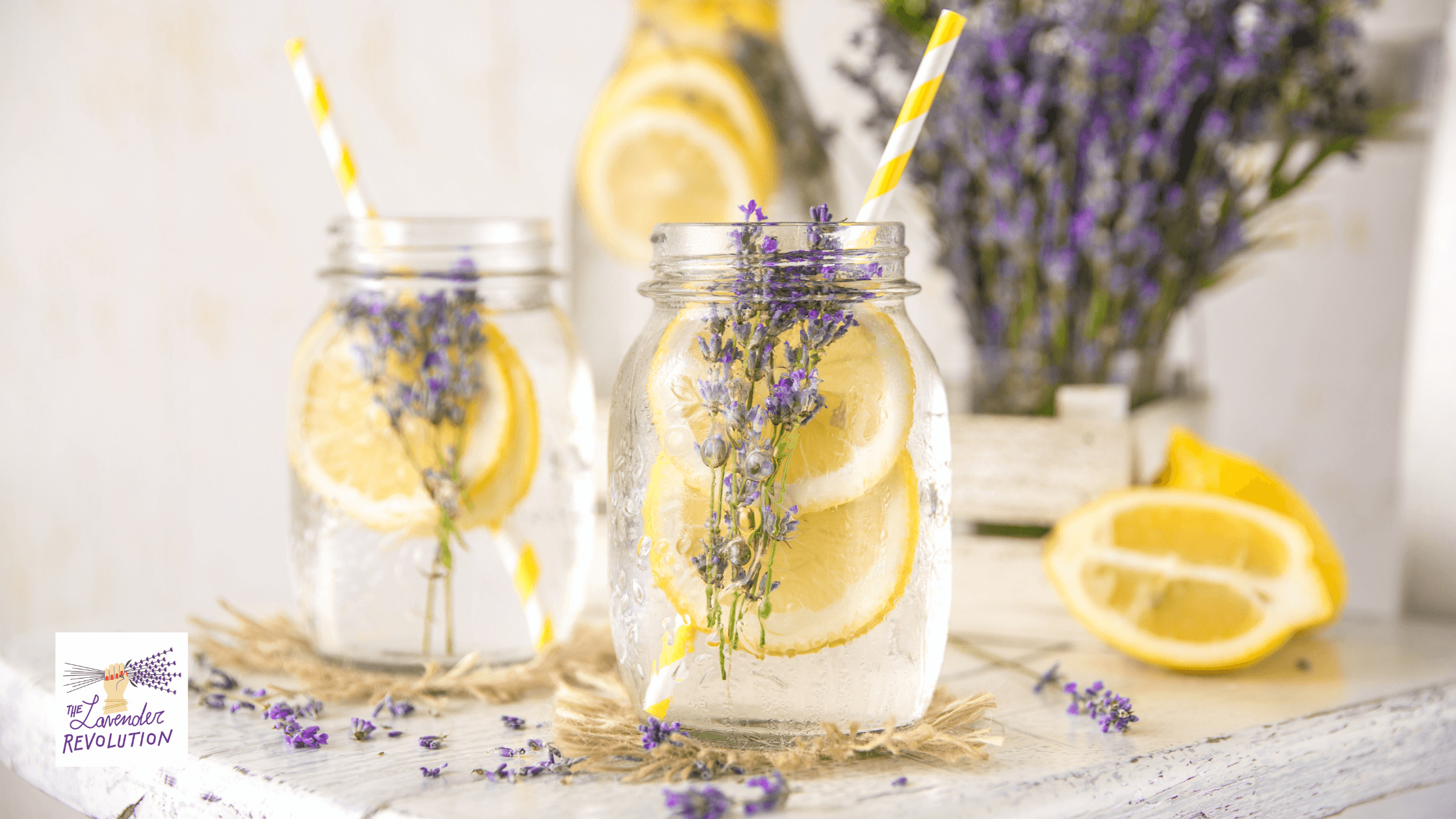 Acqua aromatizzata rinfrescante alla lavanda e rosmarino in caraffa di vetro, ricetta estiva naturale The Lavender Revolution