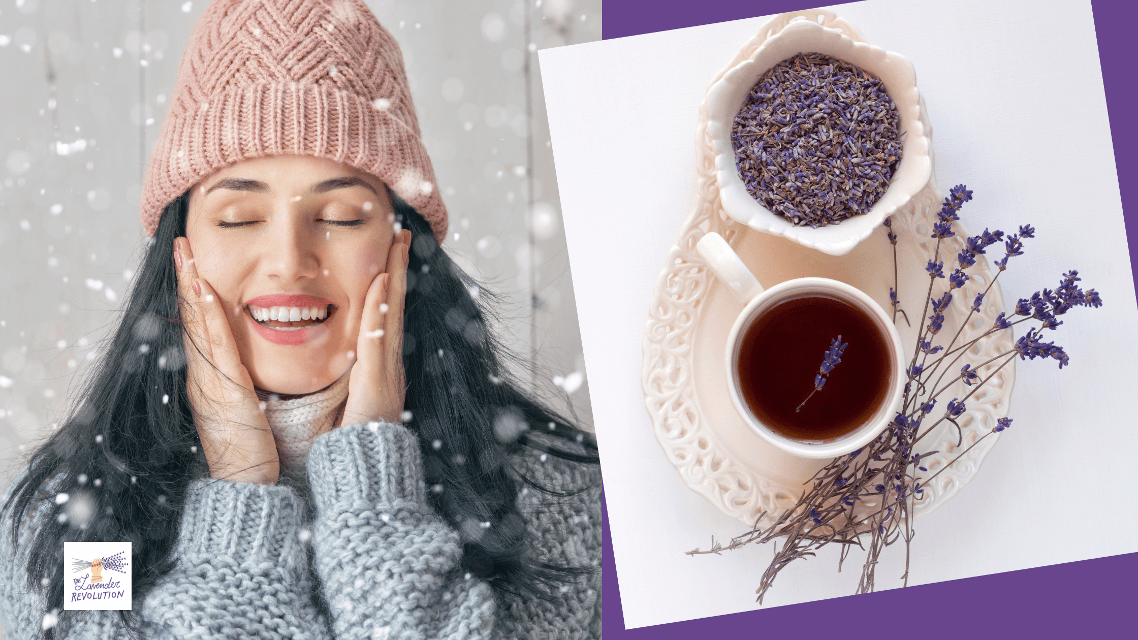 Un inverno ricco di benessere naturale grazie alla lavanda