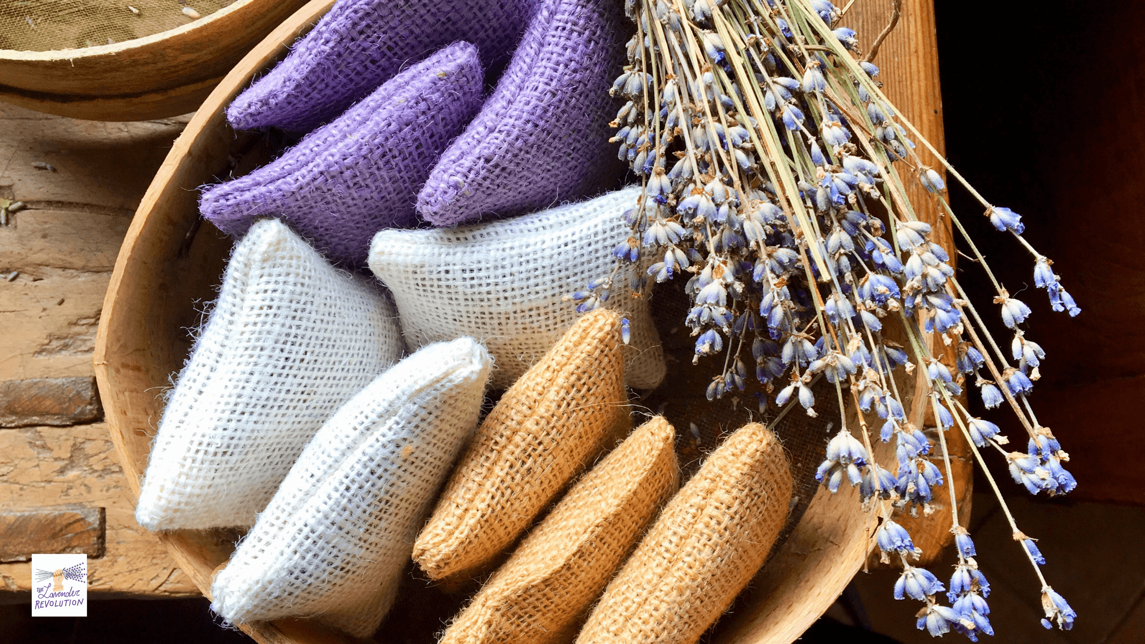 La lavanda, un rimedio naturale contro le tarme della lana