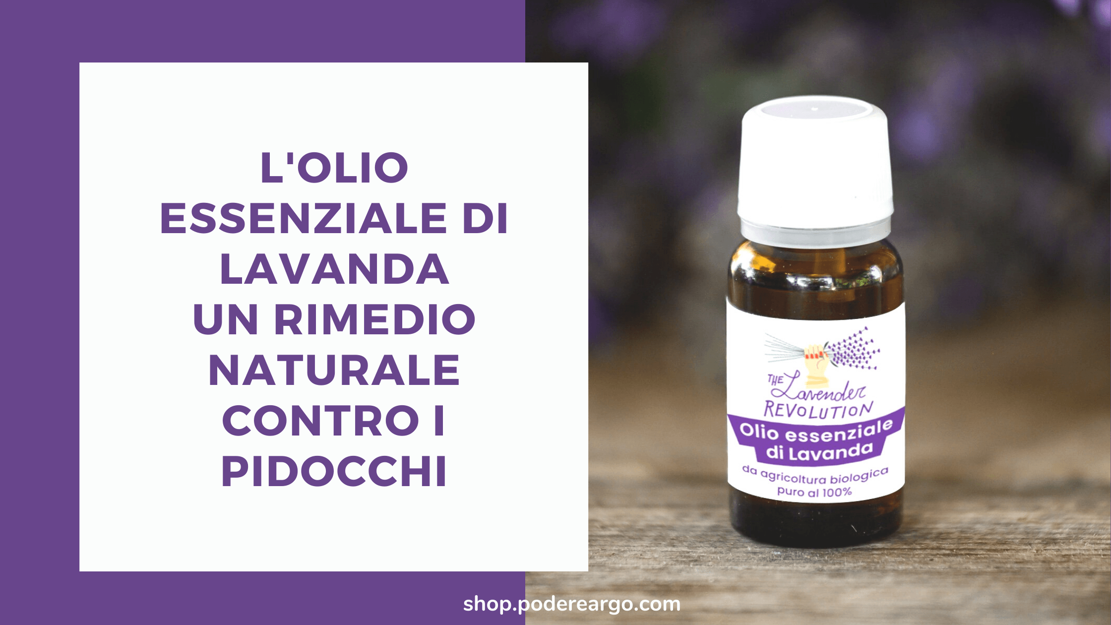 L’olio essenziale di lavanda un rimedio naturale efficace per la prevenzione dei pidocchi