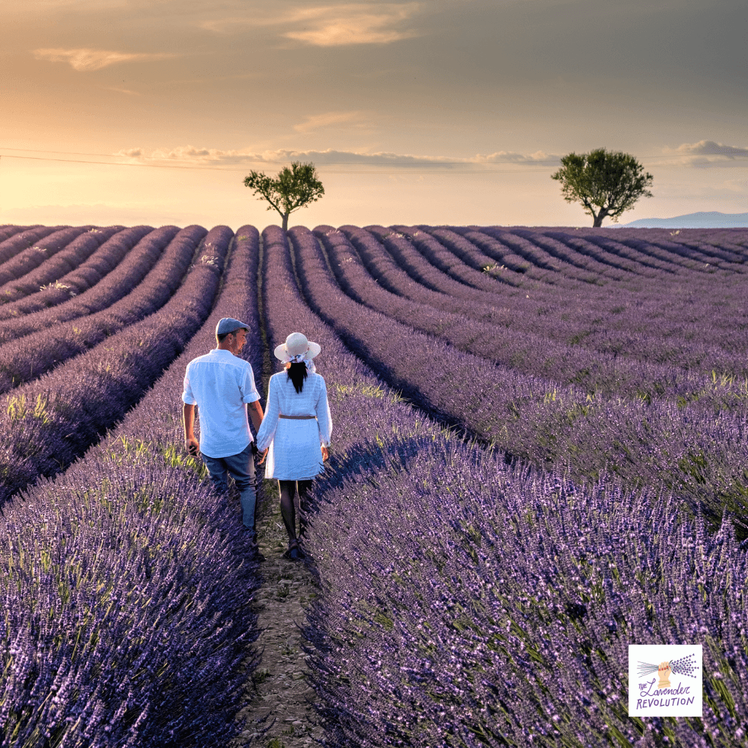 Idee regalo lavandose per San Valentino