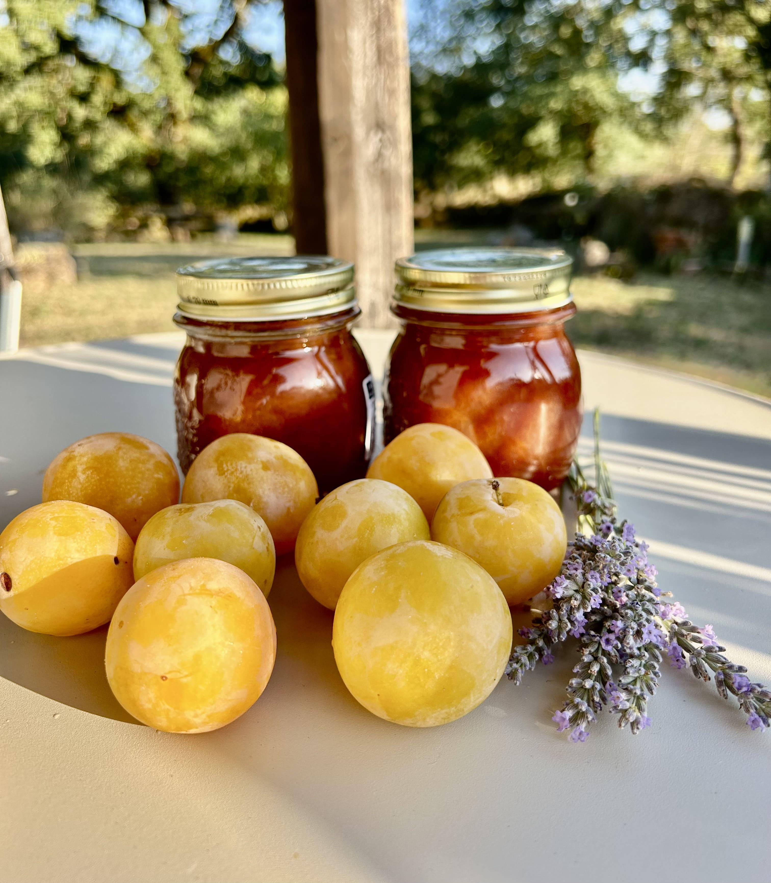 Marmellata di susine goccia d'oro e lavanda