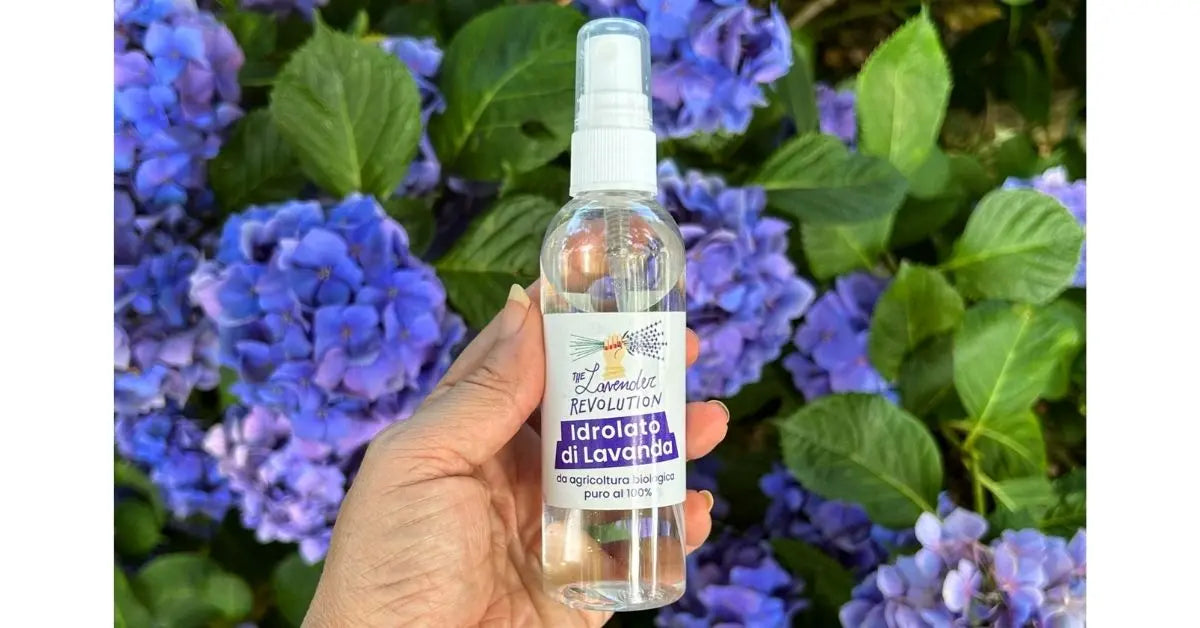 Idrolato di lavanda bio nelle mani di una donna, spray naturale multiuso per pelle e benessere, su sfondo floreale