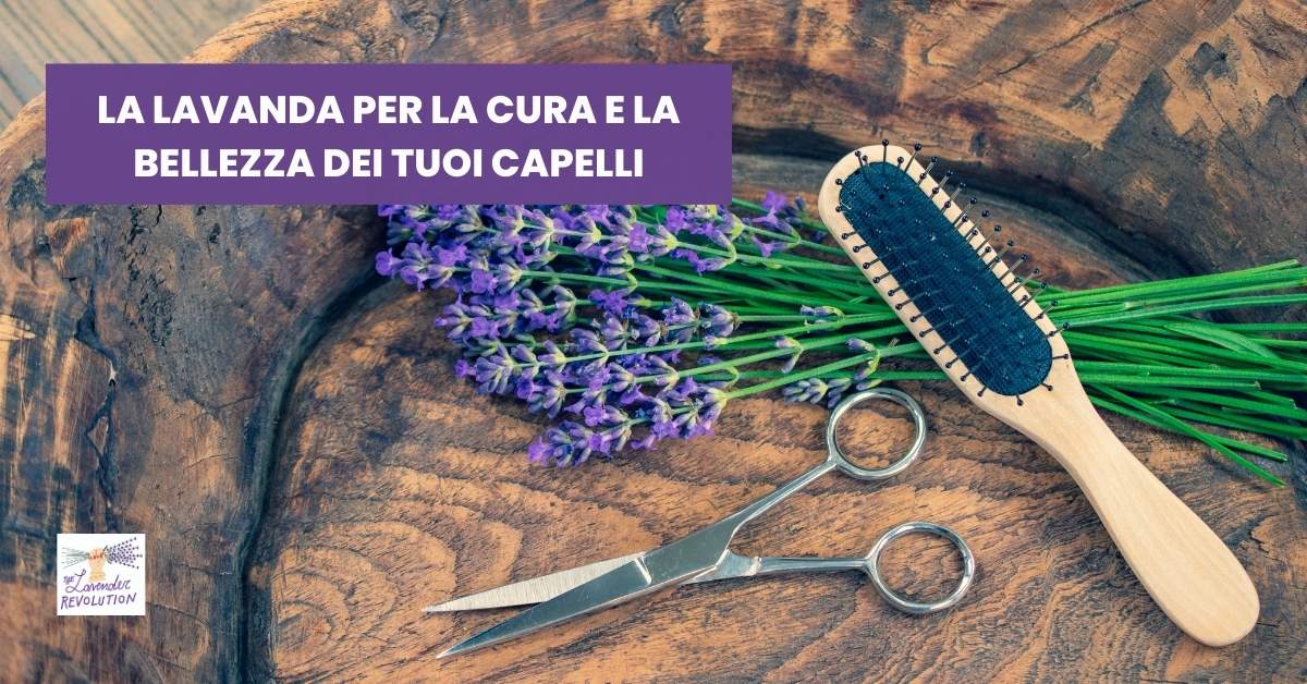 Rituale capelli con lavanda: spazzola e forbici accanto a un mazzo di lavanda