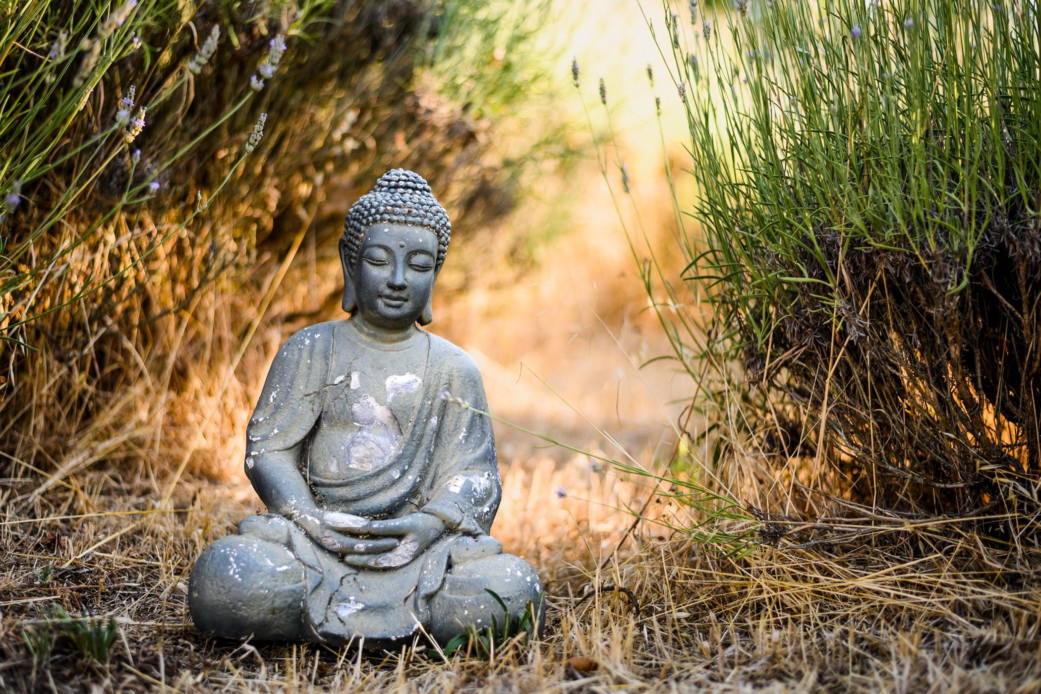 Come usare la lavanda nella tua pratica yoga