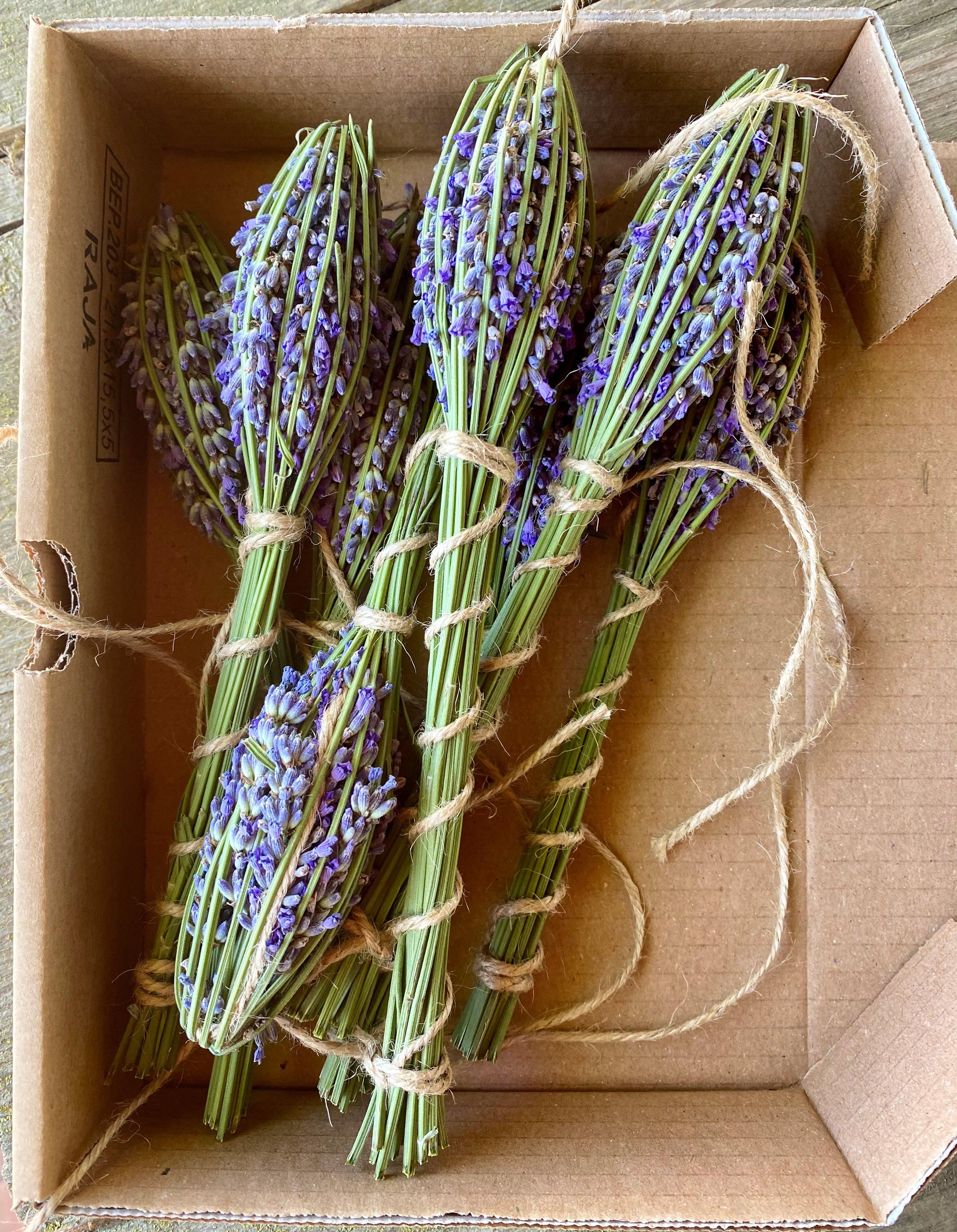 Fusi, Smudgesticks, e mazzi di lavanda