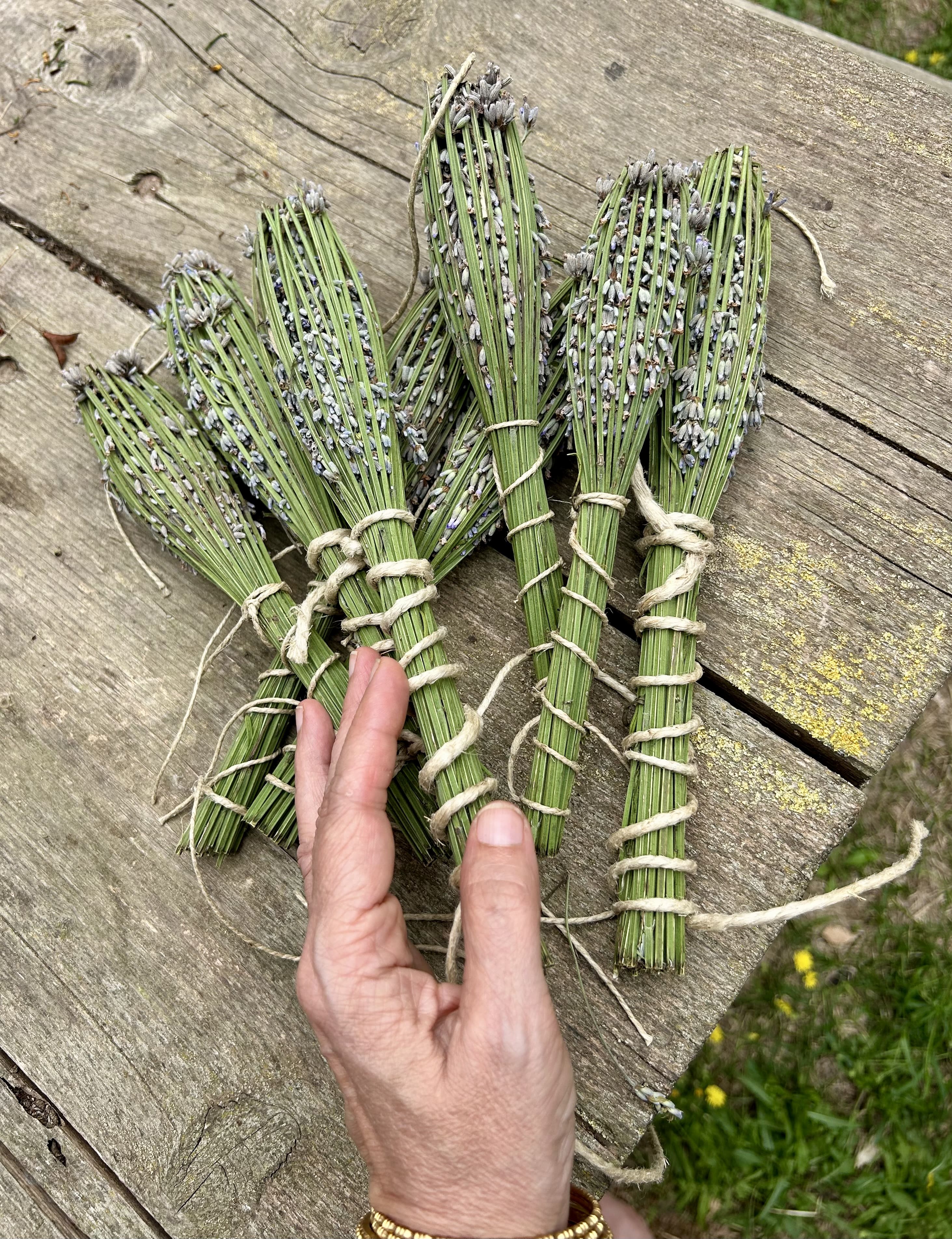 Fuso di lavanda semplice