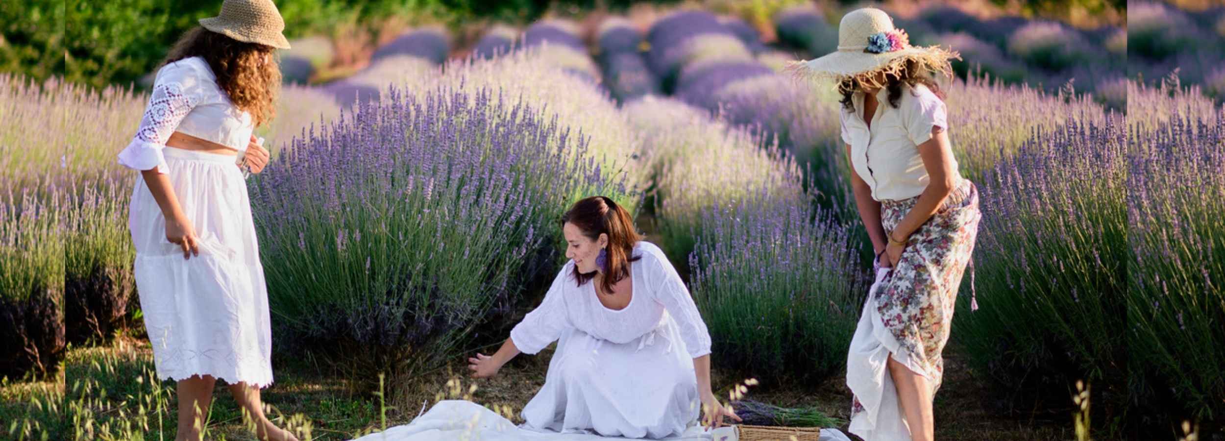 Campo di lavanda biologica in Maremma Toscana per adozione pianta Podere Argo | The Lavender Revolution