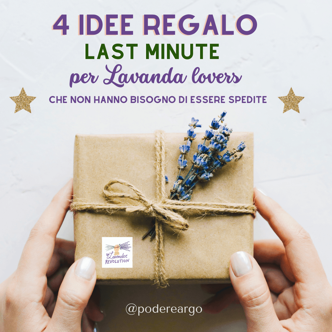 4 idee regalo LAST MINUTE per lavender lovers