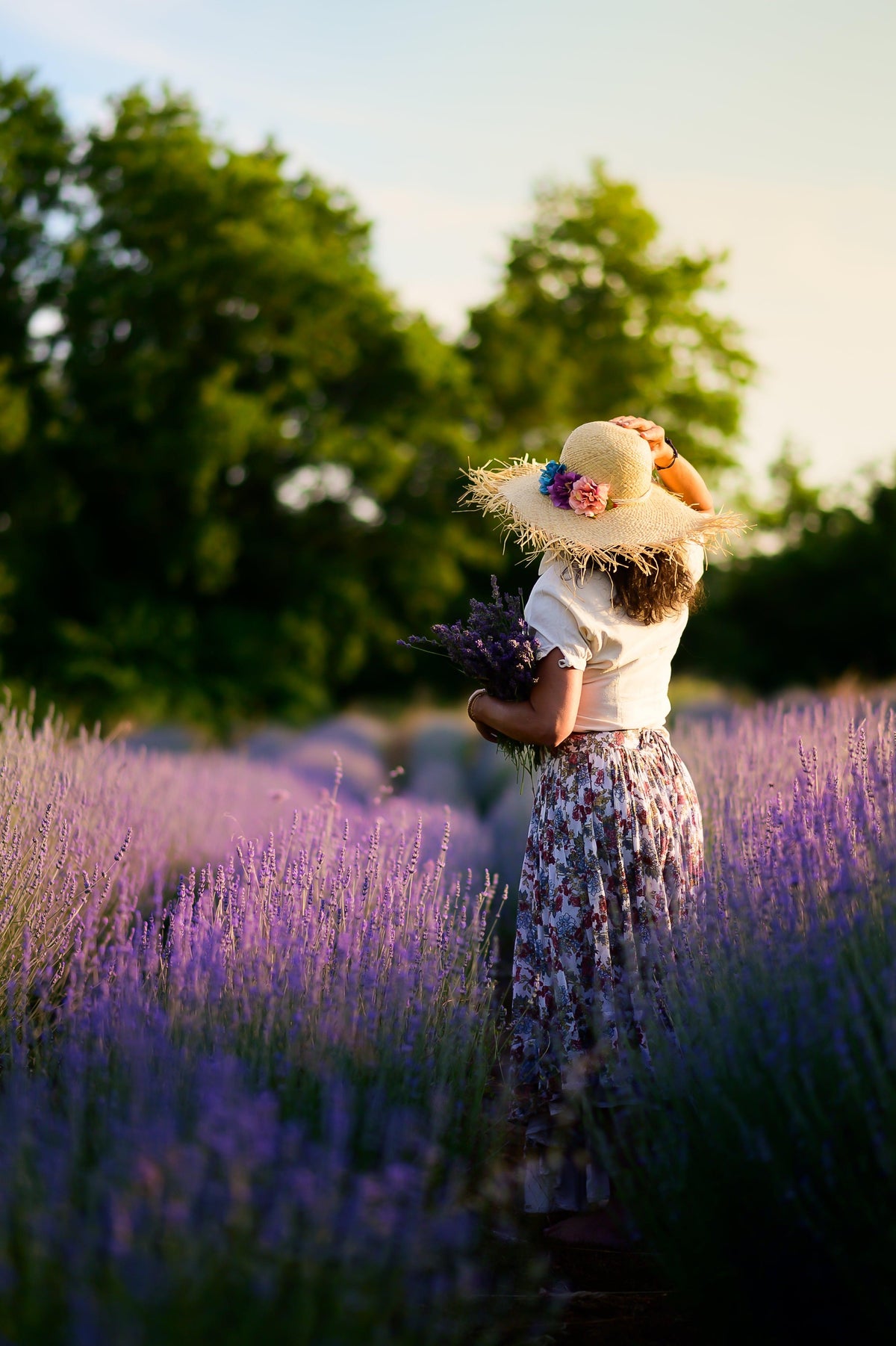Campo di lavanda biologica in Maremma Toscana, ispirazione per i rituali di relax del rientro a settembre