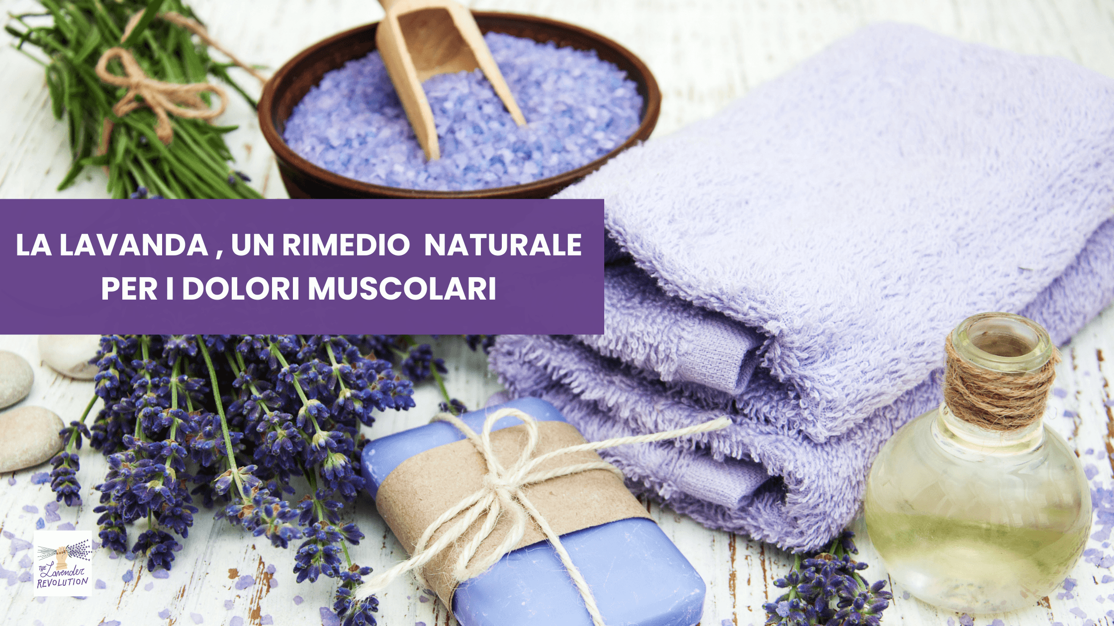 La lavanda per il benessere fisico 