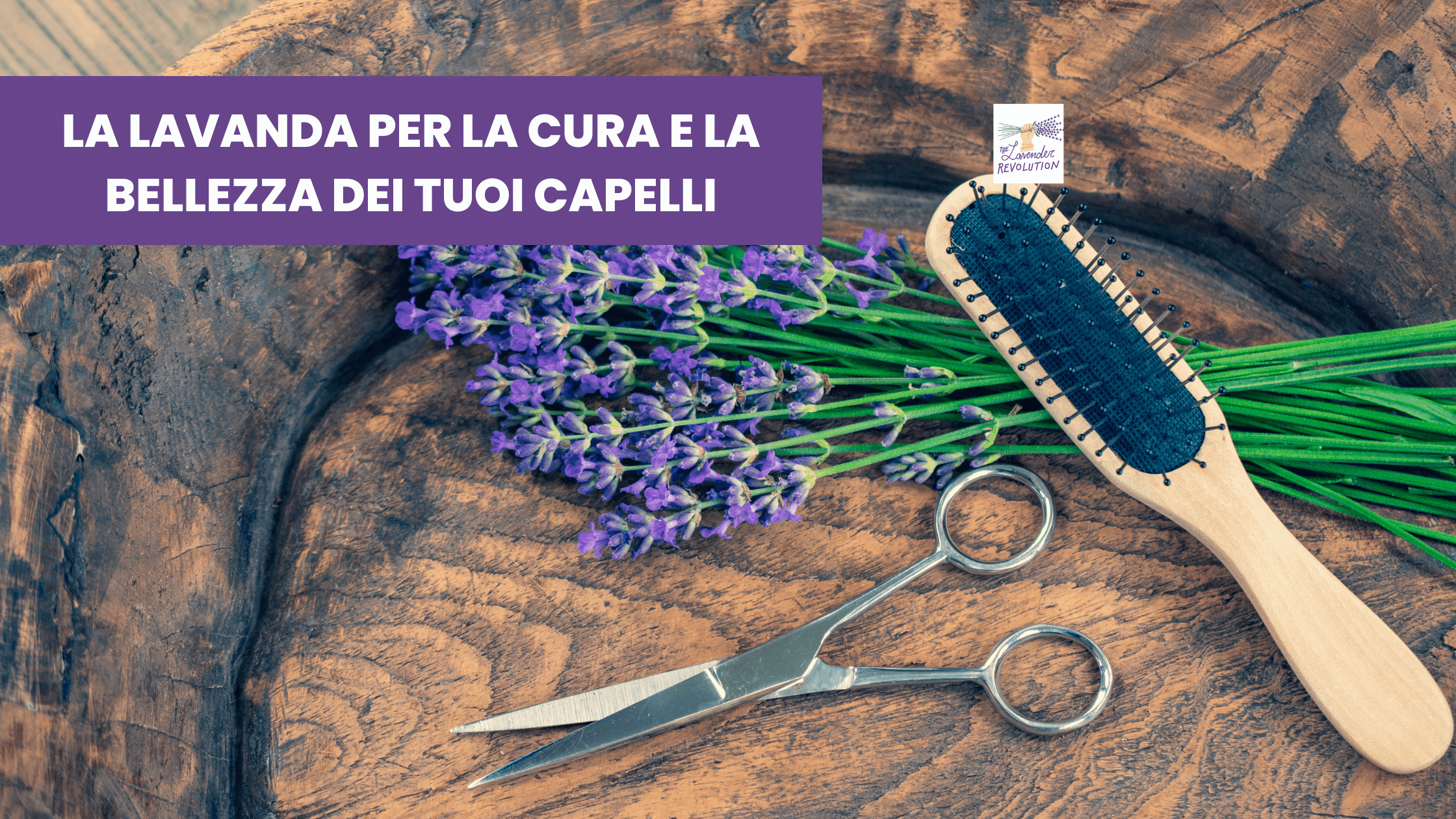 Come usare la lavanda per la cura e la bellezza dei tuoi capelli