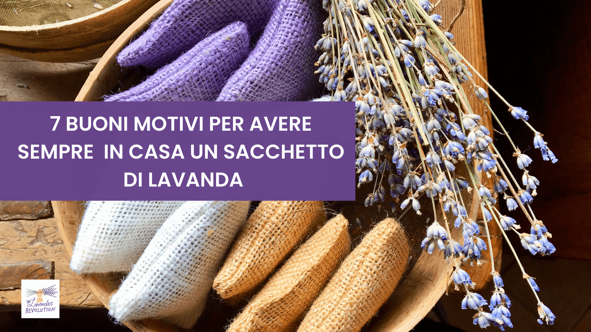 Sacchetto profumato di lavanda biologica della Maremma Toscana, 7 usi naturali per benessere casa e relax