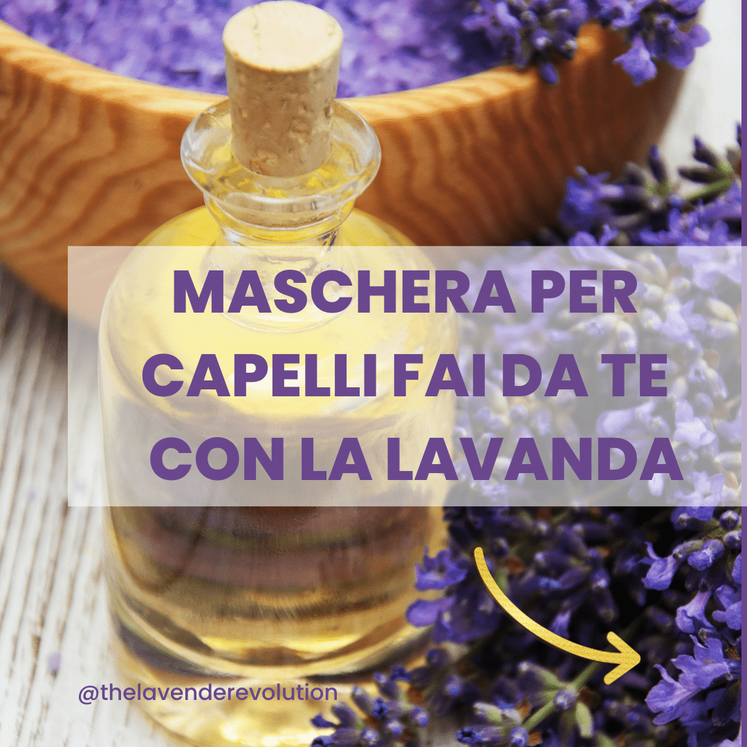 Maschera per capelli fai da te con la lavanda