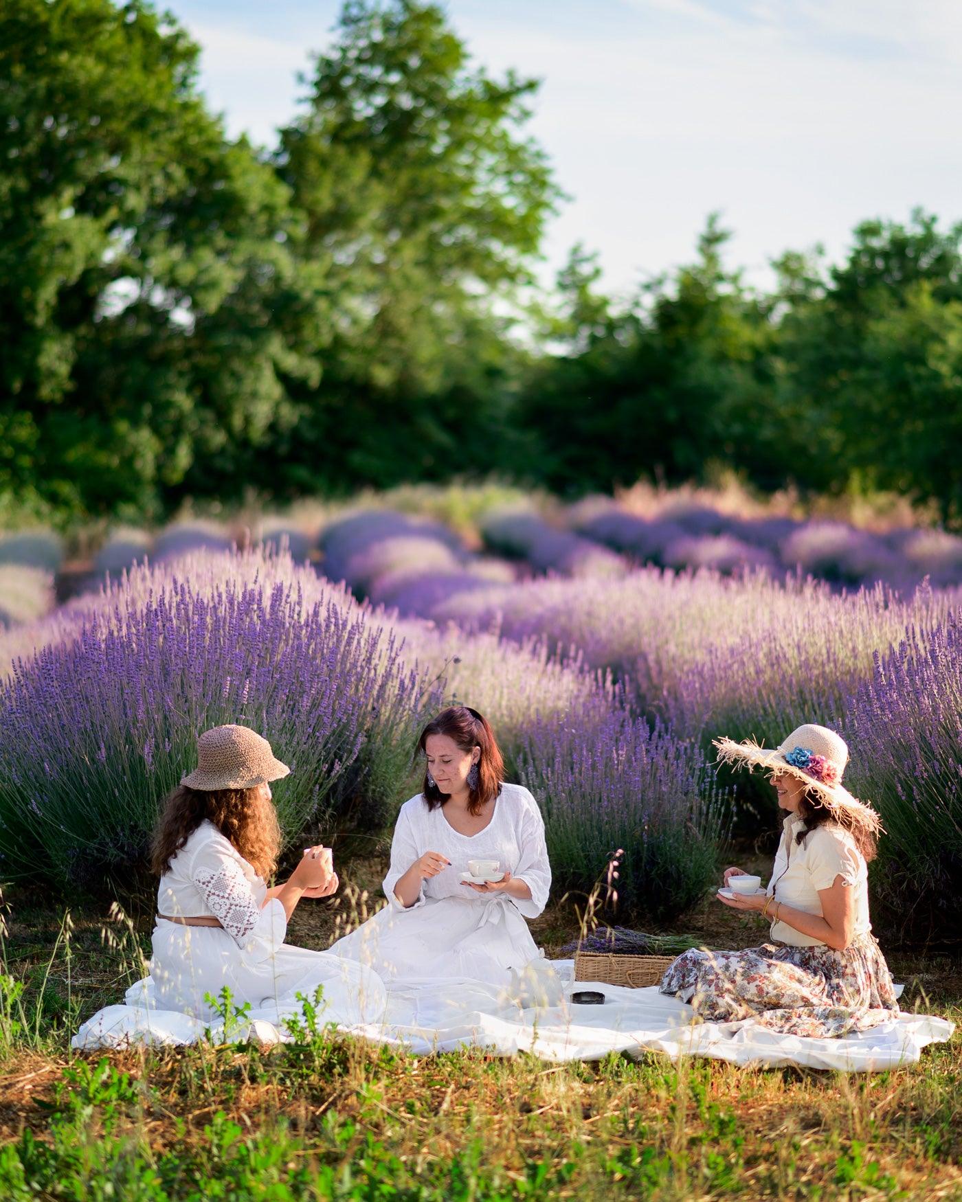 La tua estate tranquilla e serena grazie alla lavanda