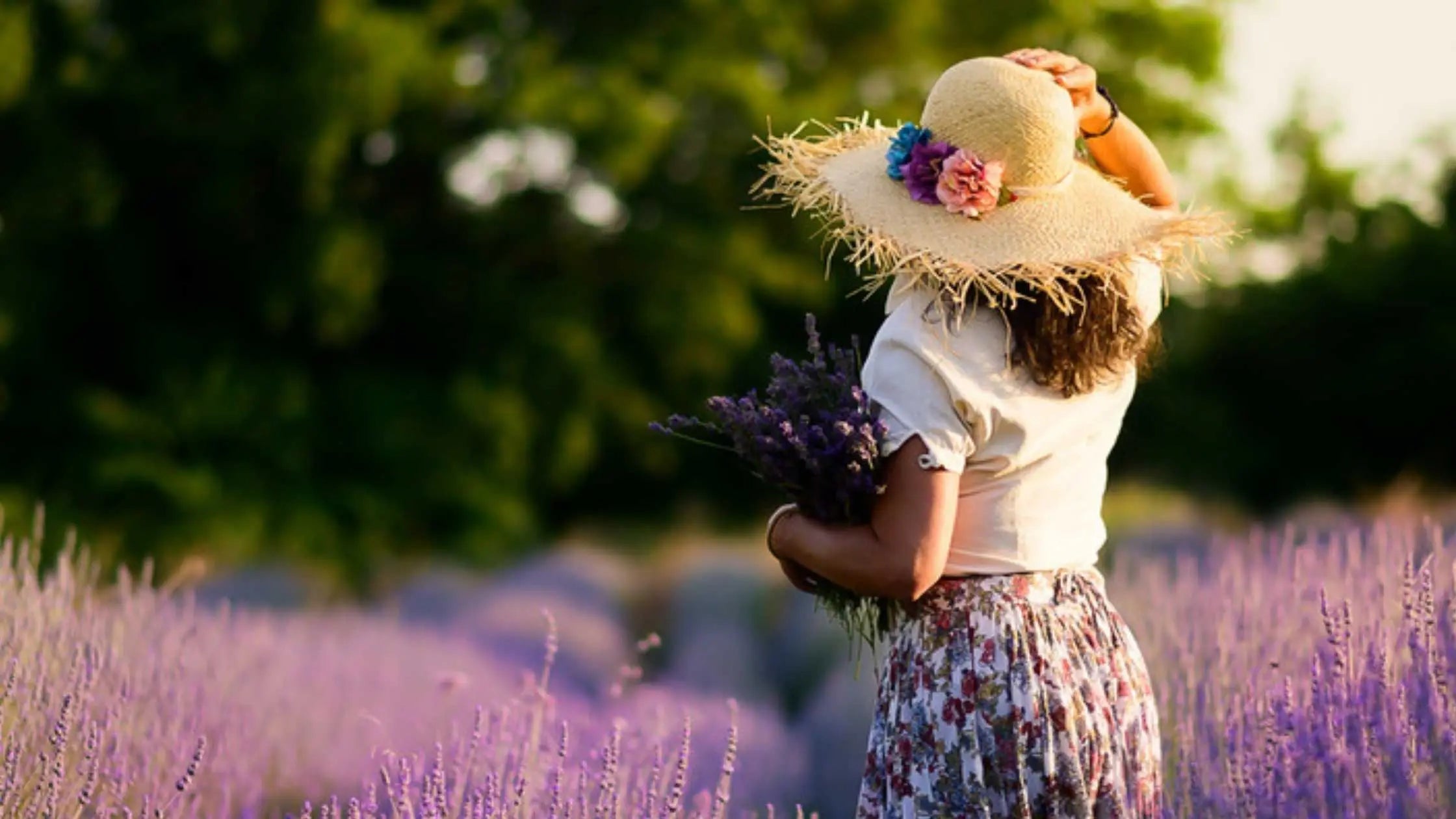 Lavanda e benessere femminile ciclo menopausa gravidanza salute ormonale The Lavender Revolution