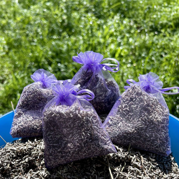 4sacchetti viola in organza con fiori di lavanda bio 