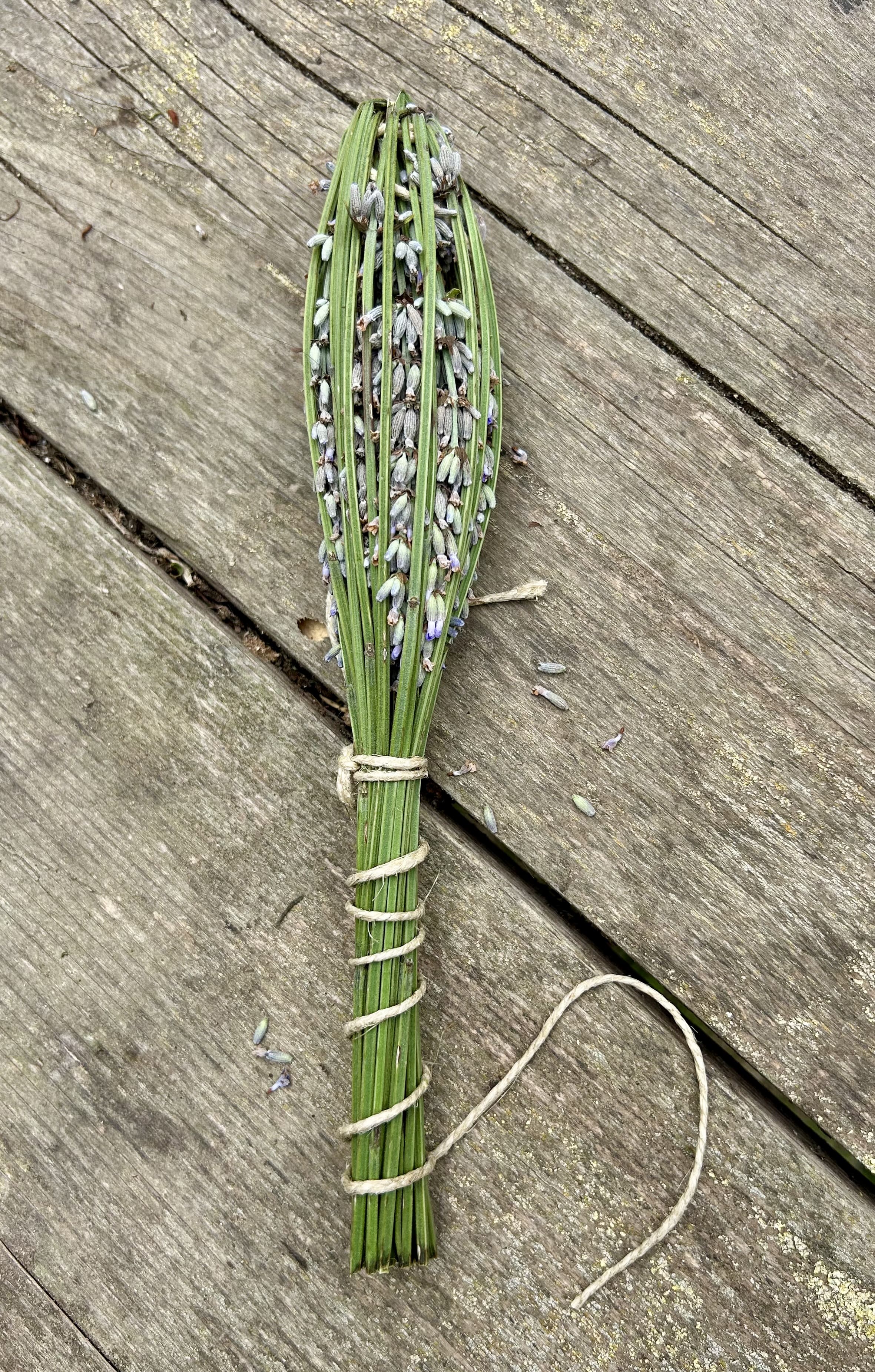 Fuso di lavanda semplice