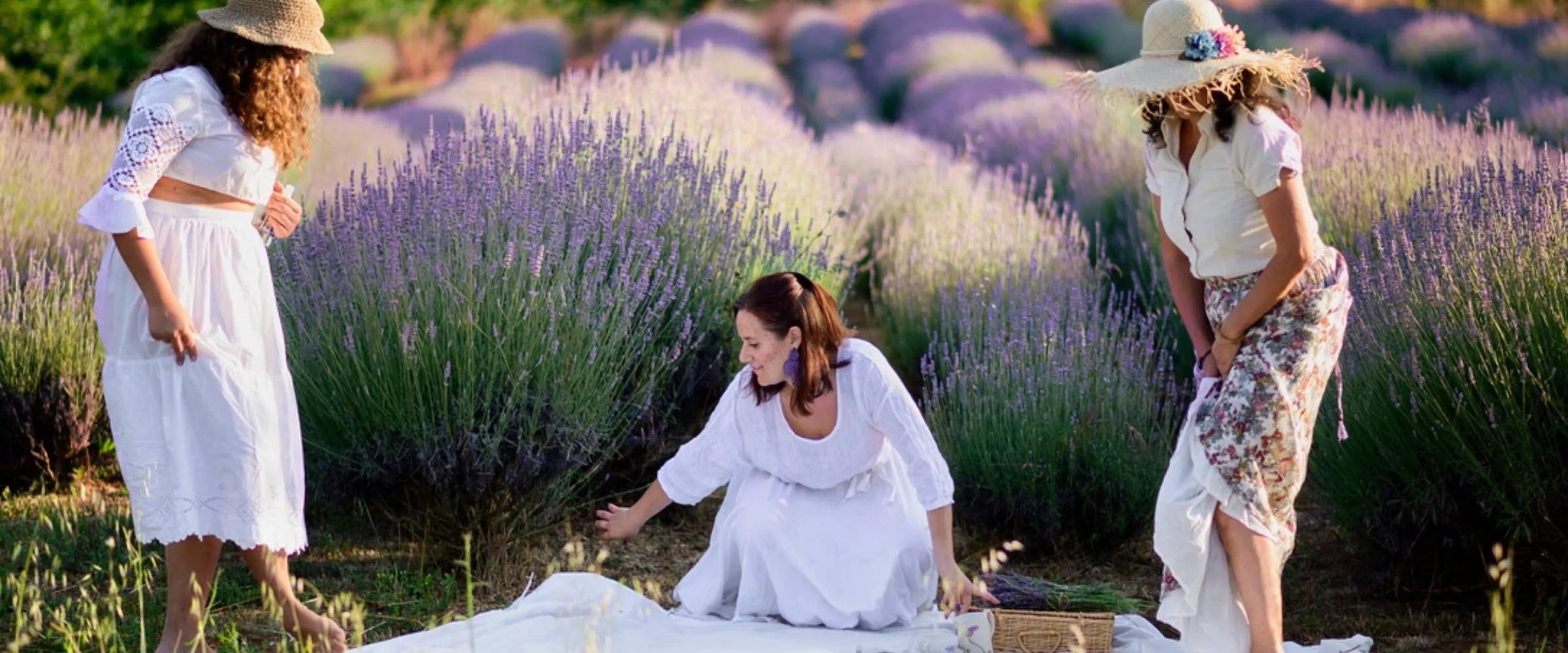 Esperienza di adozione lavanda bio - Campo fiorito del Podere Argo in Maremma Toscana 