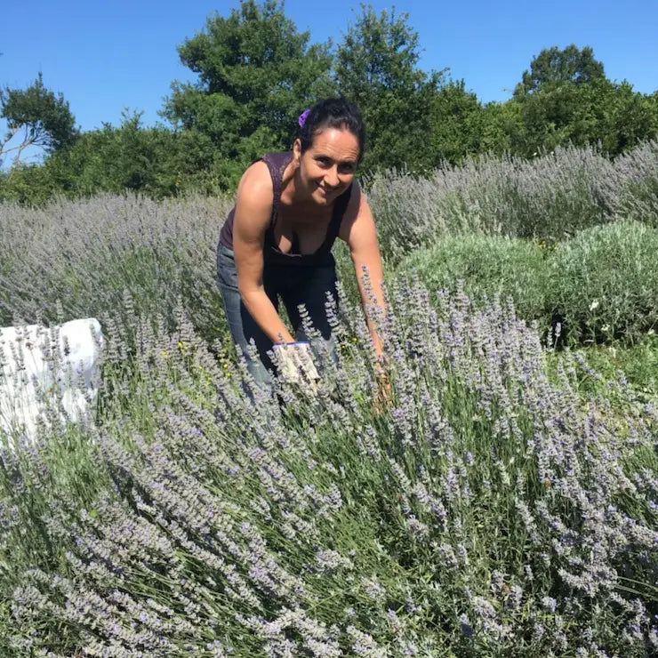 Beatrice Galgano fondatrice di The Lavender Revolution nel campo di lavanda officinale bio di Podere Argo in Maremma Toscana