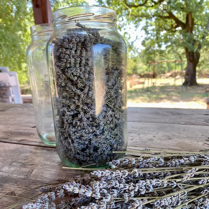 Oleolito di lavanda macerazione naturale di lavanda officinale nei nostri campi in Maremma Toscana